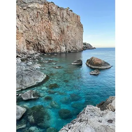 Tamarindos 500 L'Estartit